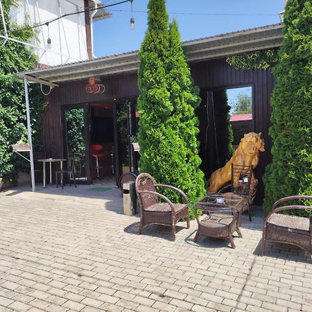 В Гостях На Иссык-Куле Hotel โชลปอน-อาตา ภายนอก รูปภาพ